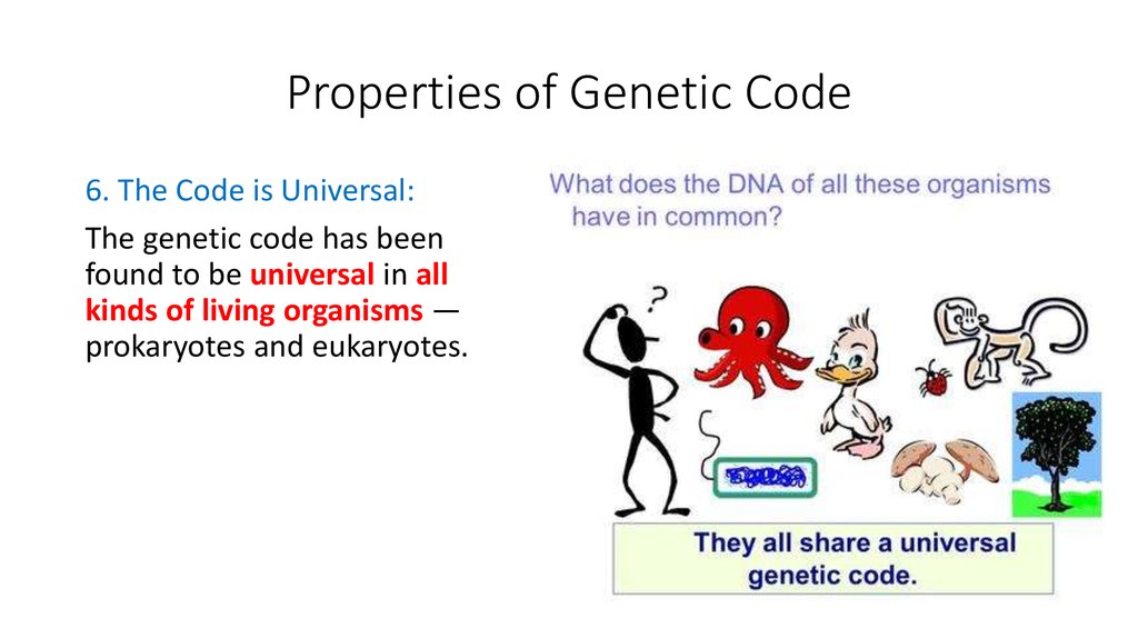 Coding properties. Genetic code properties. The genetic code Biology. The main properties of genetic code. Universal genetic code.