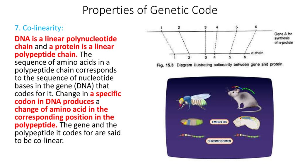 Property code. Genetic code properties. Genetic code DNA. Genetic code Protein. The genetic code Biology.