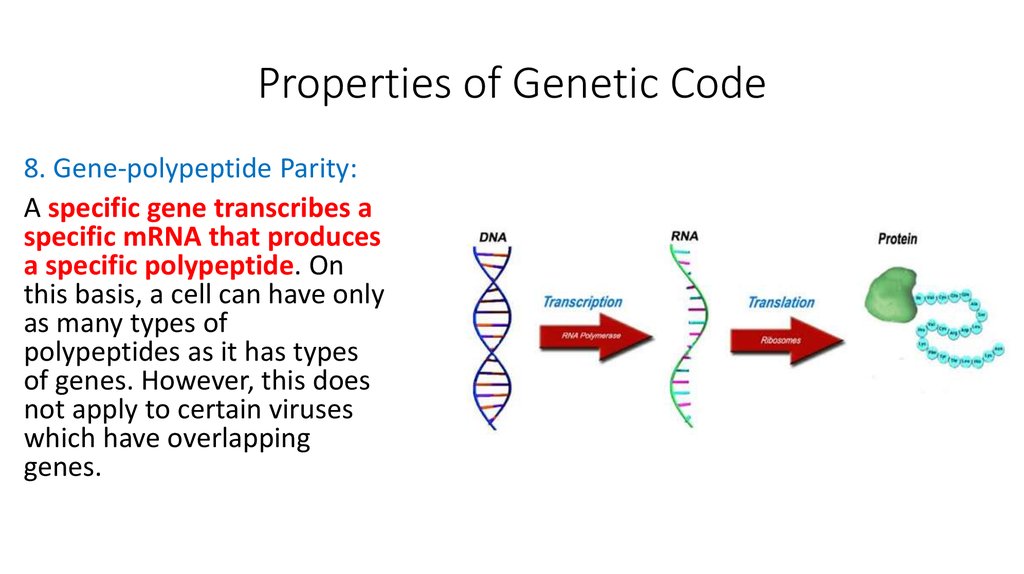 Property code. Genetic code properties. Genetic code Protein. The genetic code Biology. The main properties of genetic code.