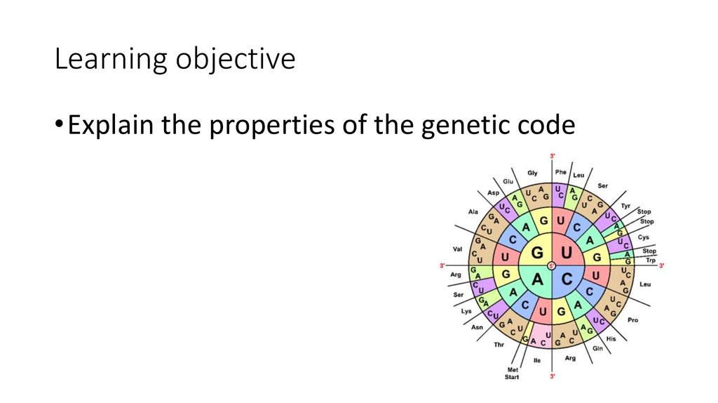 Coding properties. Genetic code properties. The genetic code Скриптонит. Генетический код презентация. Игру the genetic code (2022-23|ру.