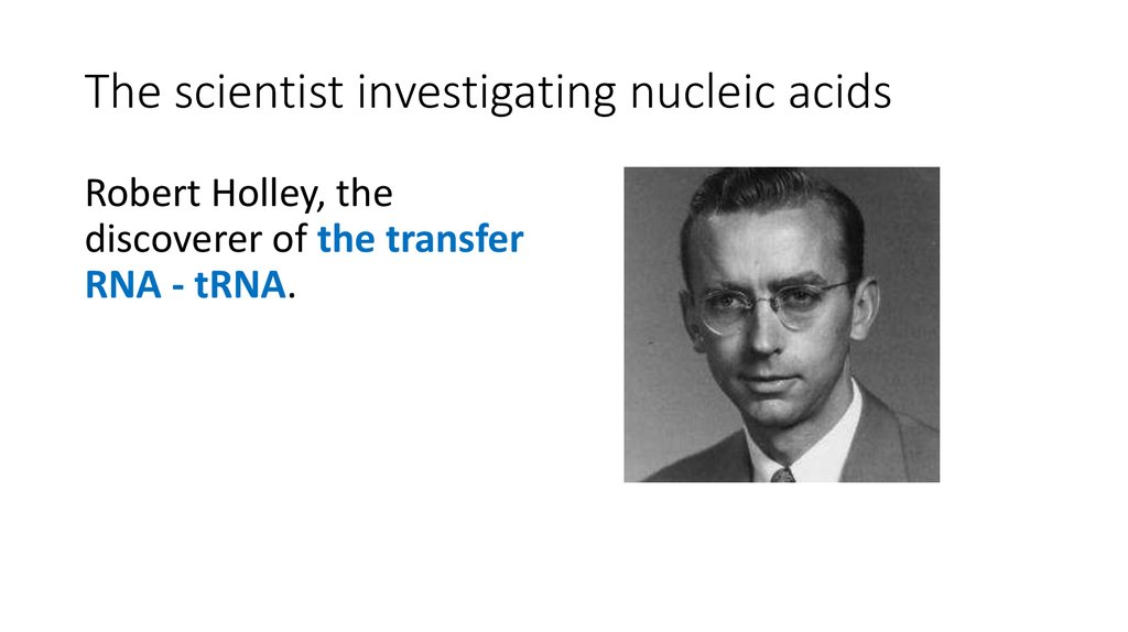 The scientist investigating nucleic acids