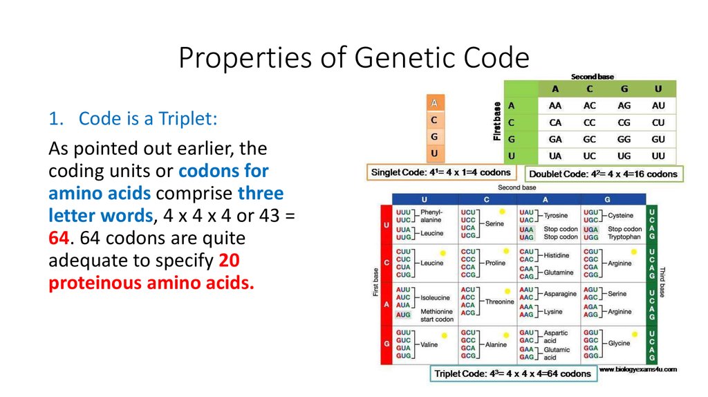 Properties of Genetic Code