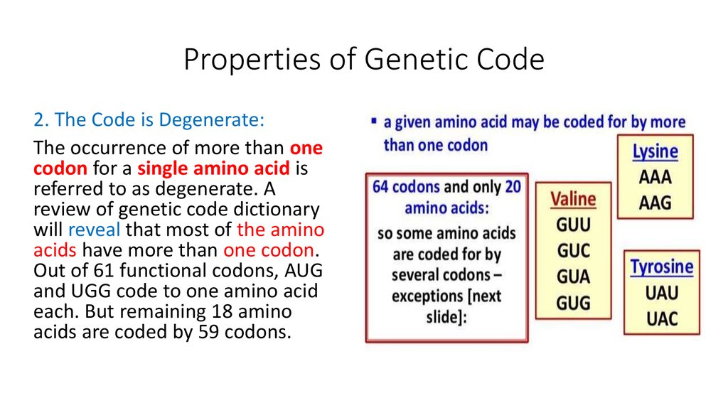Coding properties. Genetic code properties. The genetic code Скриптонит. Genetic code DNA. What is the genetic code?.