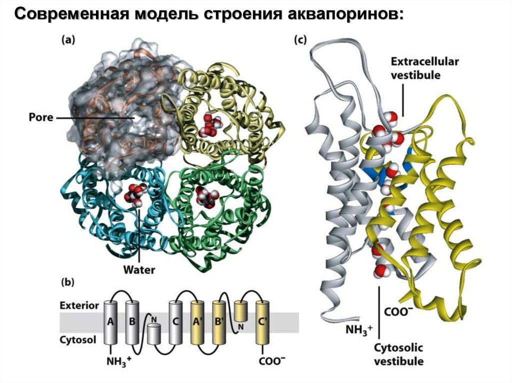 основы расчёта