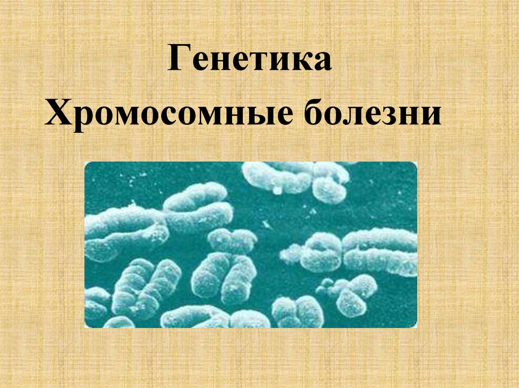 Болезнь презентация. Хромосомные болезни. Хромосомные болезни презентация. Хромосомные болезни генетика. Хромосомные заболевания презентация.