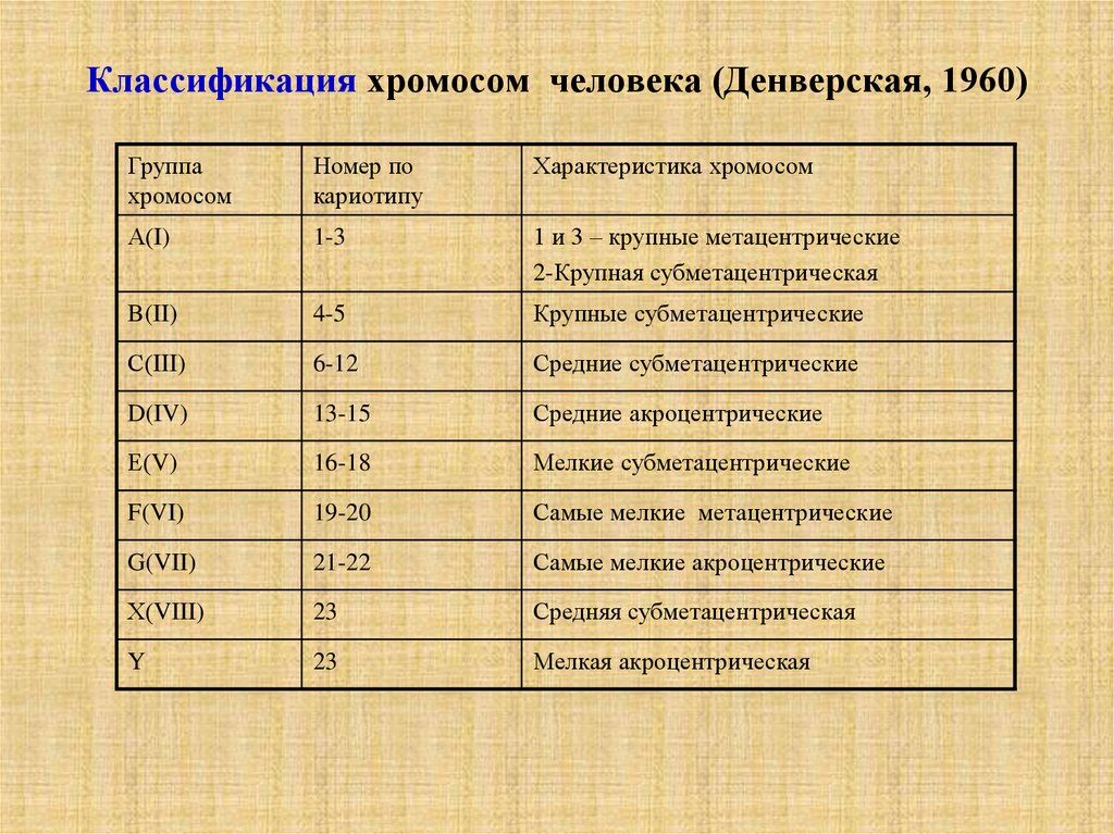 Хромосом группы d. Денверская классификация хромосом. Денверская и Парижская классификация хромосом. Классификация хромосом человека. Денверская классификация хромосом человека таблица.