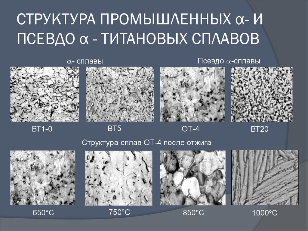 Структура 20. Титановый сплав вт1 микроструктура. Титановый сплав вт8 структура. Микроструктура титанового сплава вт5-1. Титановый сплав вт5 структура.