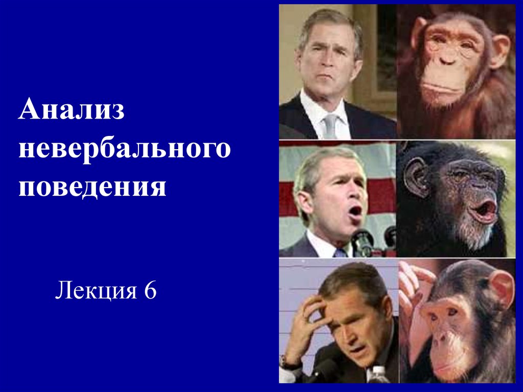 Анализ невербального поведения - презентация онлайн