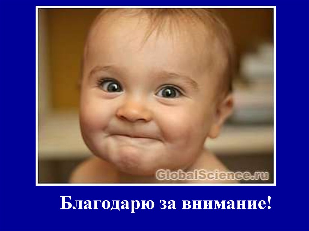 Благодарю за внимание!