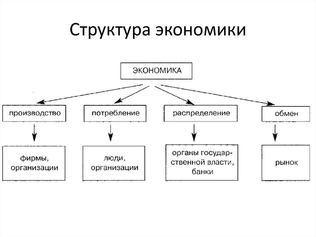 Структурная экономика россии. Структура экономики. Структура предприятия это в экономике. Структура экономической структуры. Структура экономики Обществознание.