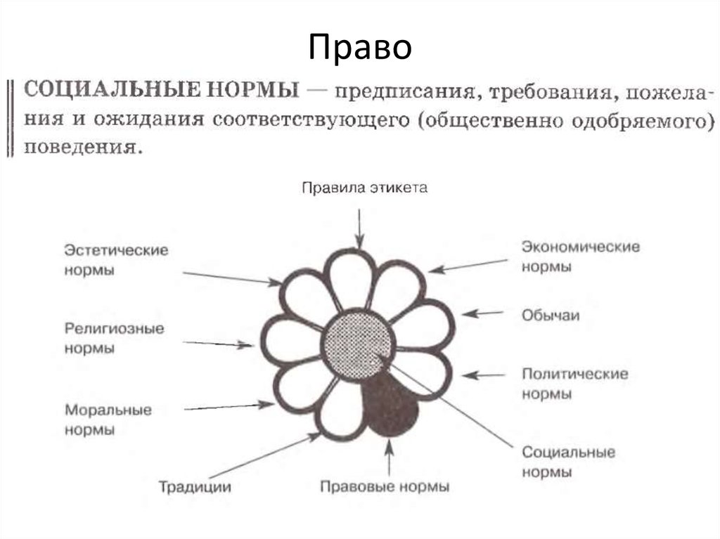 Наличие социальных норм. Социальные нормы. Структура социальной нормы. Социальные нормы поведения. Социальные нормы в обществе.