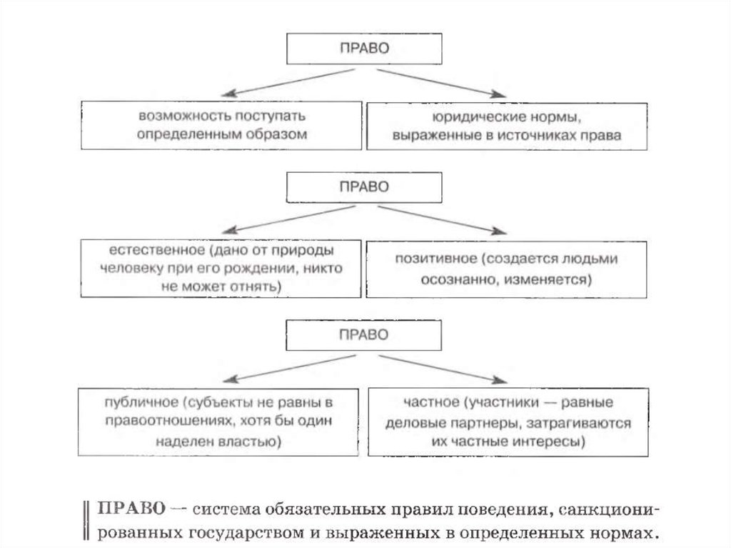 Обществознание 9 класс схемы