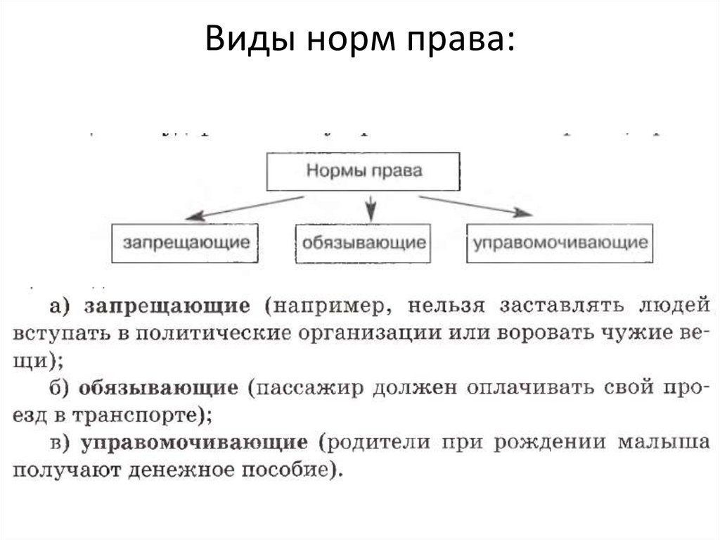 Определить правовые нормы. Нормы права схема. Виды норм права. Виды норм права схема. Виды правовых норм схема.