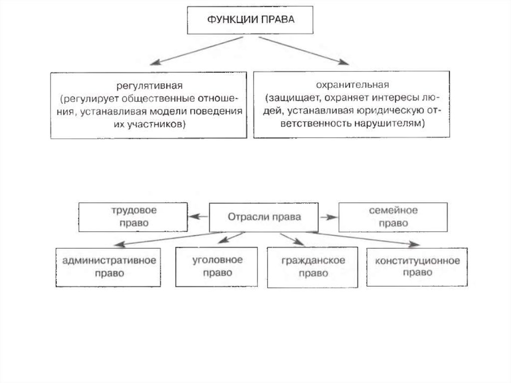 Обществознание 9 класс схемы