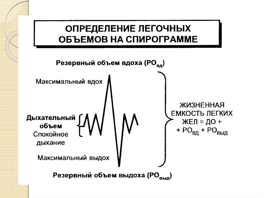 Жизненная емкость легких легочная вентиляция. Определение легочных объемов на спирограмме. Схема легочных объемов. Спирограмма легочные объемы и емкости. Спирограмма легких.