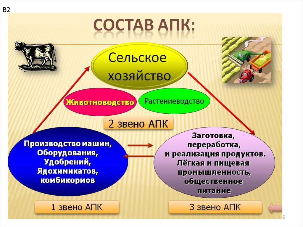 Заполните схему растениеводство животноводство