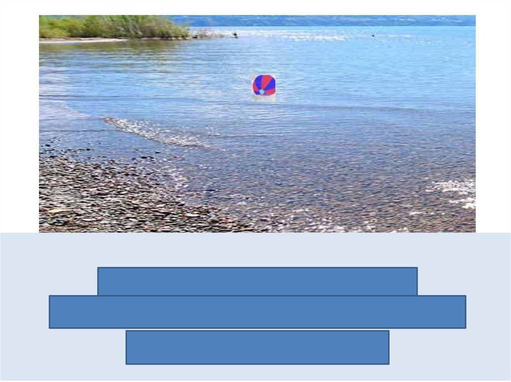 Мы бросили в озеро мячик. Это была любимая игрушка Томки.// Шлёпнулся мяч в воду.