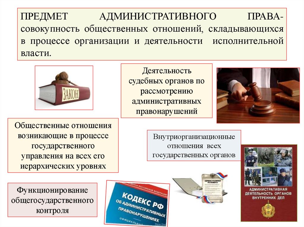 Административное право презентация 10 класс обществознание