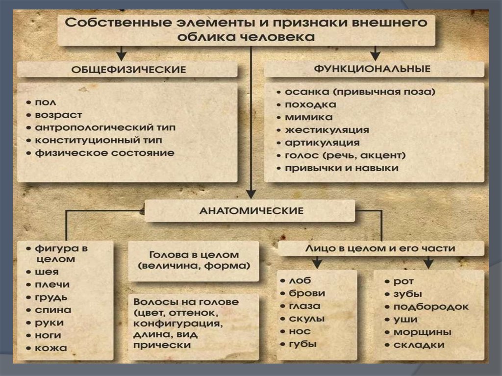 Признаки внешнего облика человека