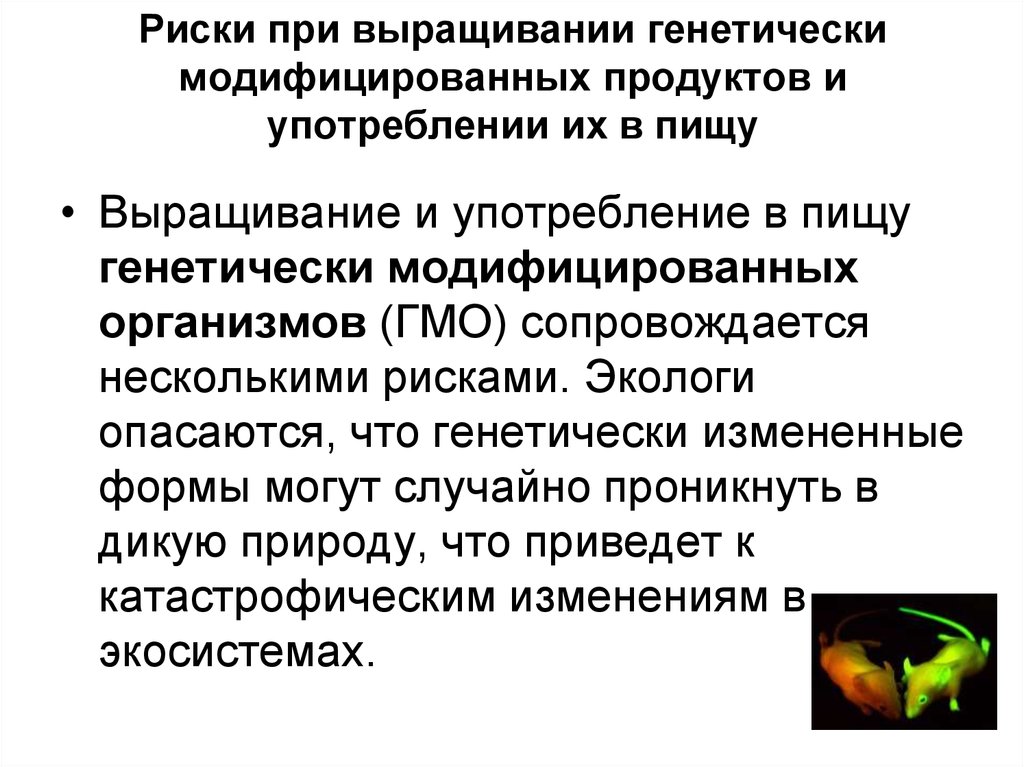 Генетически модифицированные продукты и угрозы связанные с их употреблением презентация