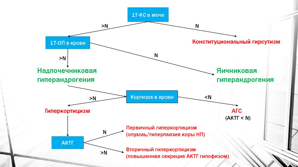 Для клинической картины гиперандрогении надпочечникового генеза характерно