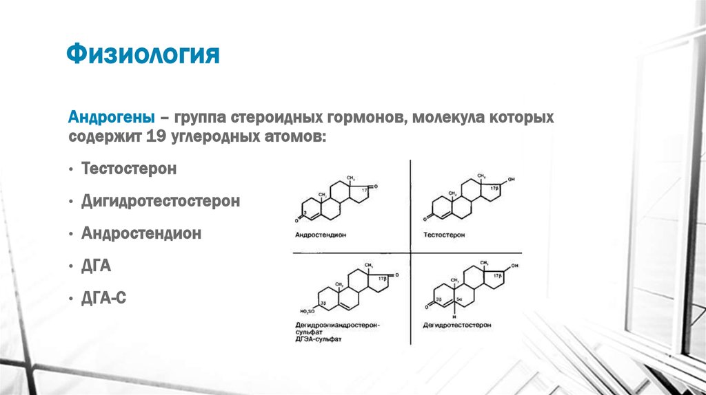 Мужской гормон андроген. Андроген стероидный гормон. Андрогены тестостерон андростерон гормон функции. Андроген стероидный гормон функции. Андрогены надпочечников физиология.