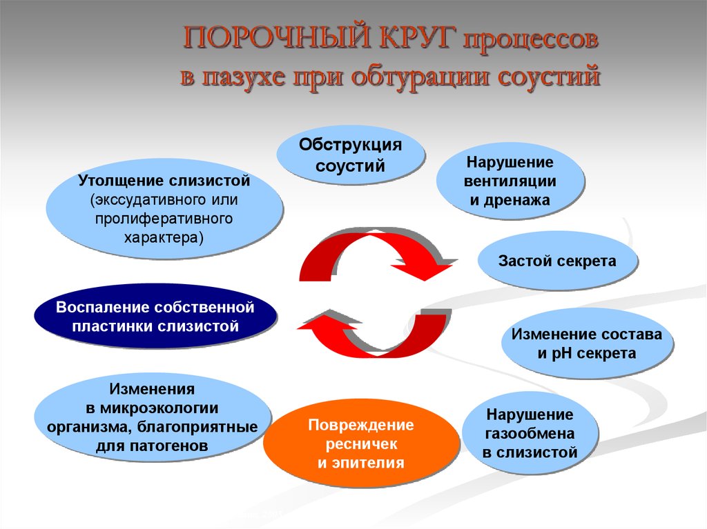 Круг процессов. Порочный круг процессов в пазухе при обтурации соустий. Порочный круг. Круг процесс. Прочный круг стнуситов.