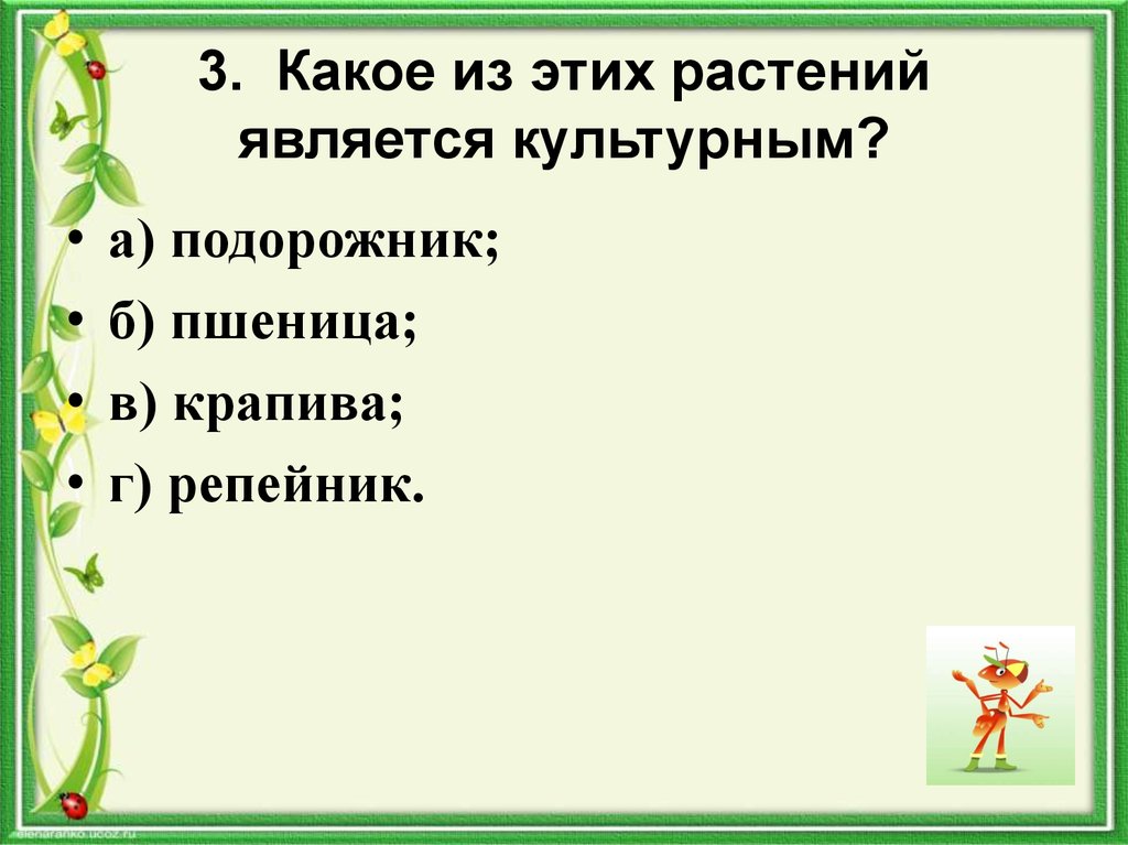 Какое растение является культурным