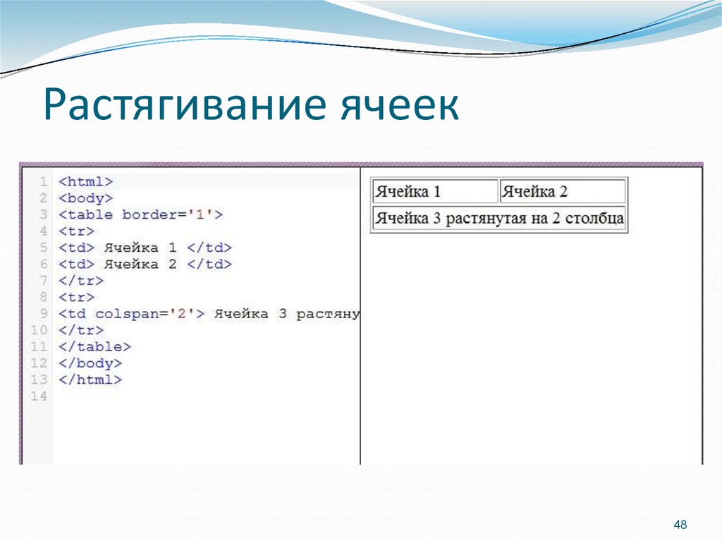 Растянуть картинку по ширине css