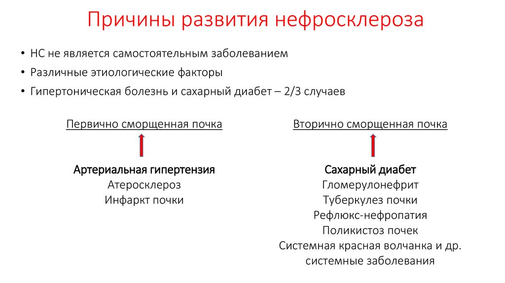 Причины развития нефросклероза