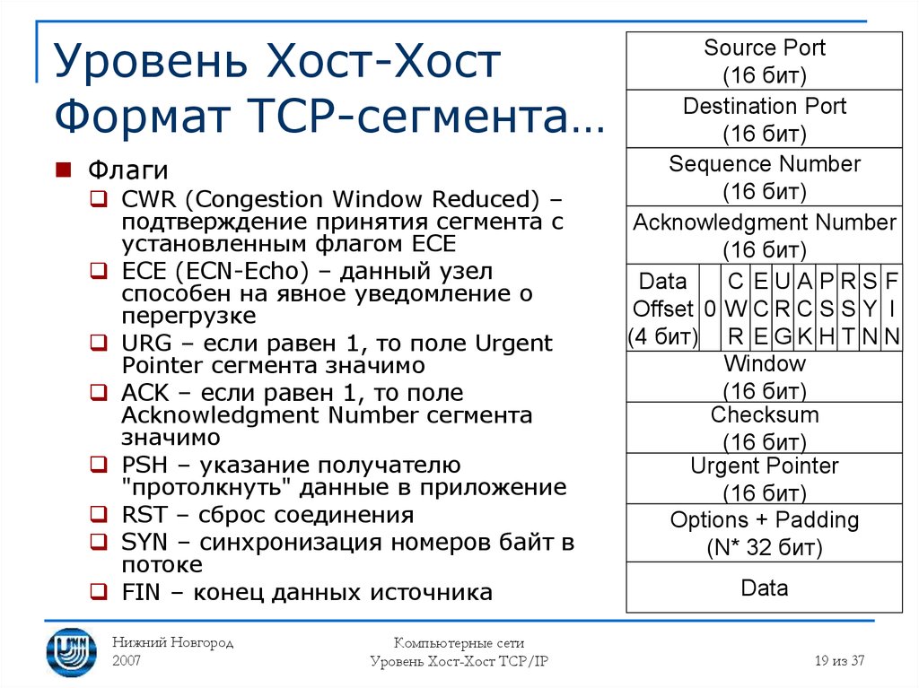 Таблица хост. Хоста Миннесота вилд. Формат TCP сегмента. Уровни хостов.