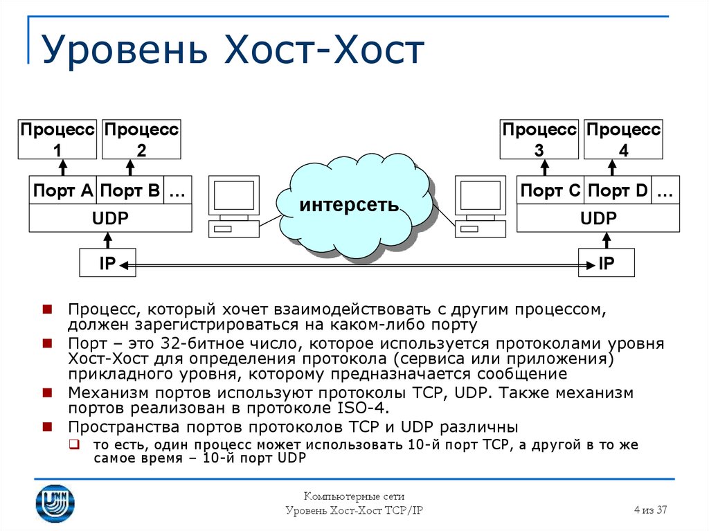 Хост адрес. Хост это в информатике. Хост в сети это. Хост это в информатике простыми словами. Протокол хост что такое.