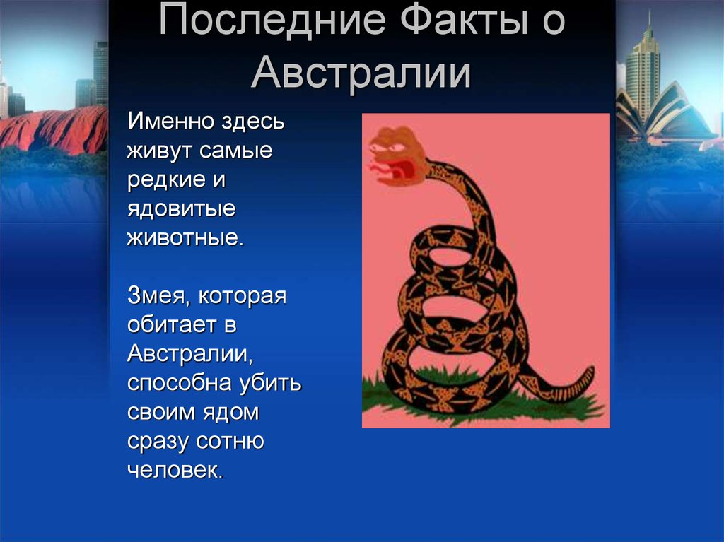 Самое интересное про. Интересные факты об Австралии. 5 Интересных фактов об Австралии. Австралия интересные факты об Австралии. Австралия интересные факты для детей.