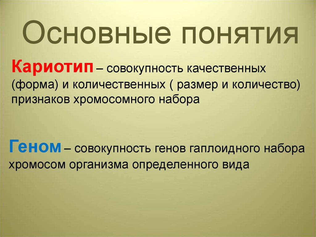 Совокупность качественных. Понятие о кариотипе. Геном и кариотип. Понятие о кариотипе человека. Понятие о кариотипе и геноме.