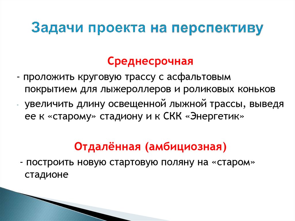 Задачи проекта на перспективу