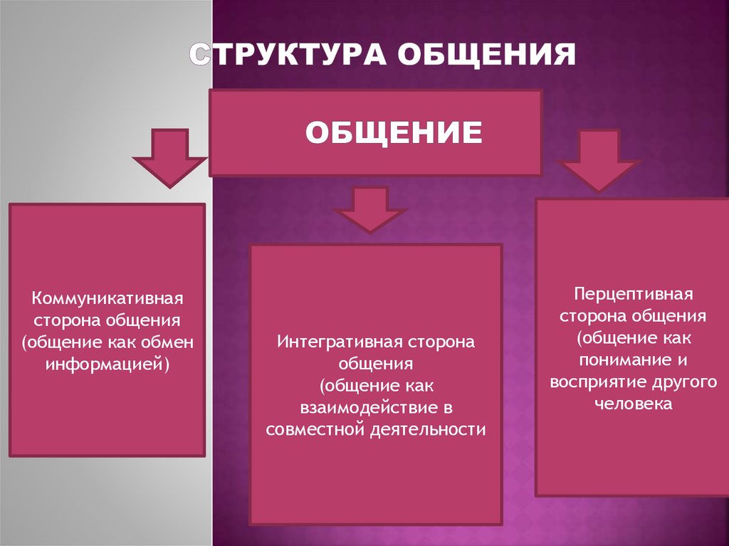 Сущность функции и структура общения презентация