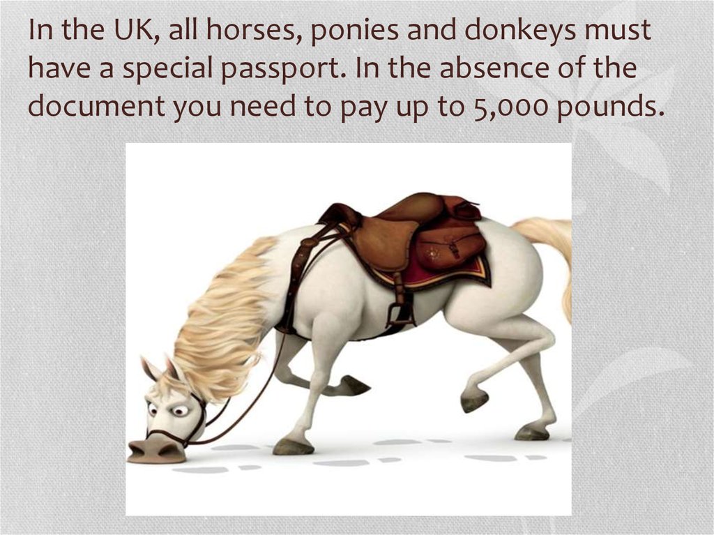 In the UK, all horses, ponies and donkeys must have a special passport. In the absence of the document you need to pay up to