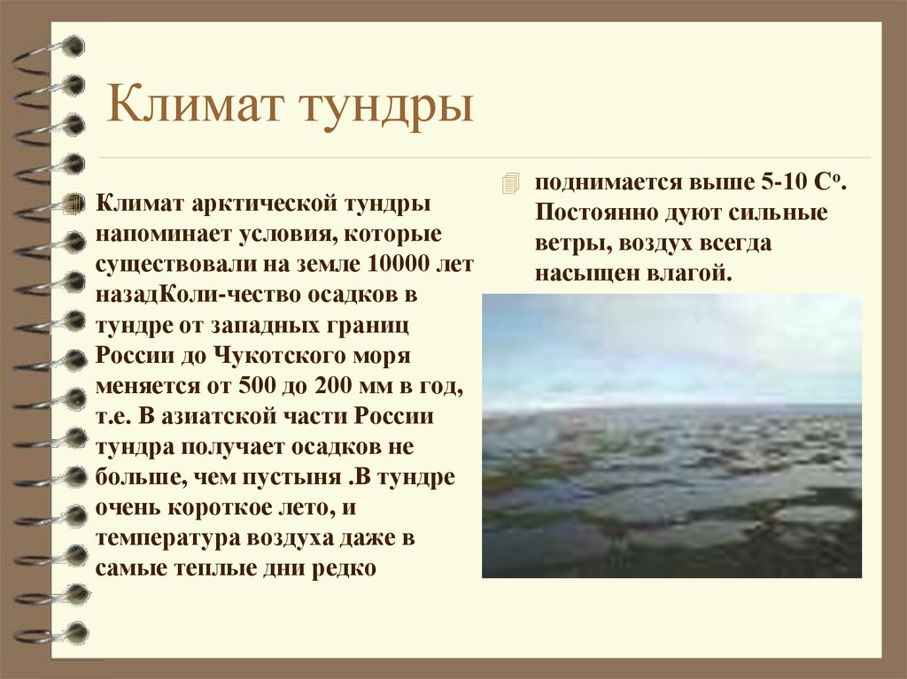 Понятие тундра. Климат тундры. Климат тундры в России. Климатические условия тундры. Климатические условия зоны тундры.