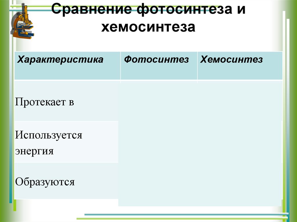 Фотосинтез сравнение