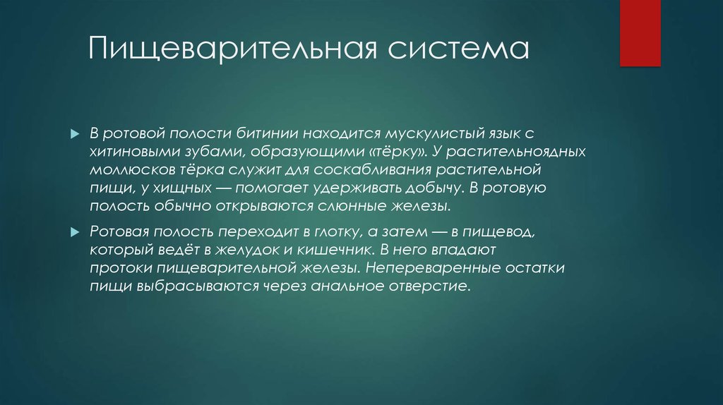 Клиническая картина заболевания. Реабилитация больных при заболеваниях мочевыделительной системы. Реабилитация с патологией мочевыделительной системы. Реабилитация при заболеваниях почек. Реабилитация детей с заболеваниями мочевыделительной системы.