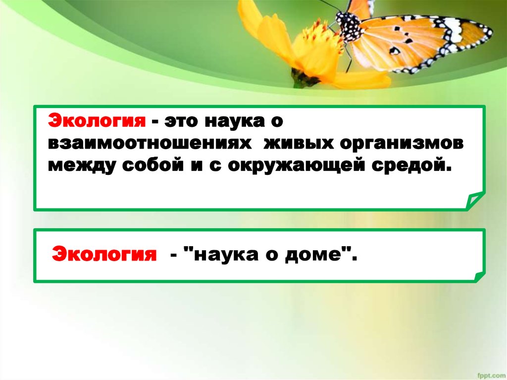 Экология наука о взаимодействии живых организмов егэ. Продолжи предложение экология это наука. Экология наука о доме. Экология наука о доме презентация. Продолжите предложение экологическая ситуация это.