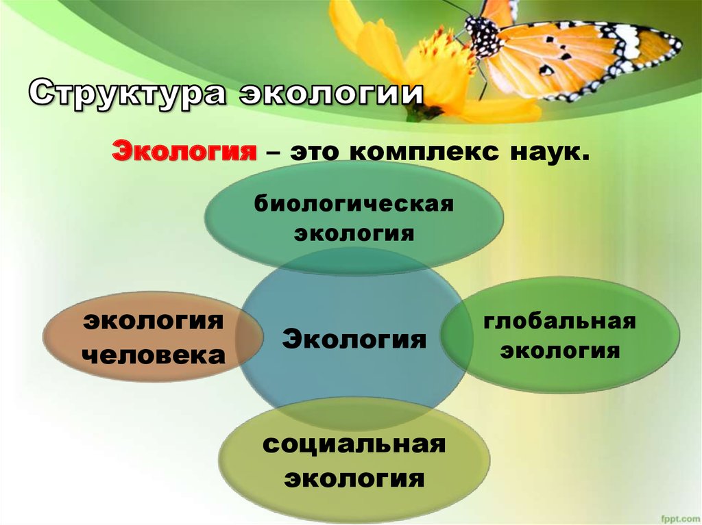 Структура экологии