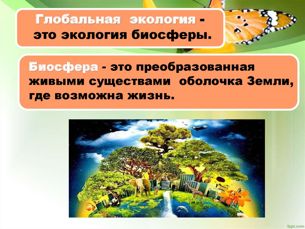 Экология 6 класс. Глобальная экология. Биосфера это в экологии. Биосферная Глобальная экология это. Что изучает экология биосферы.