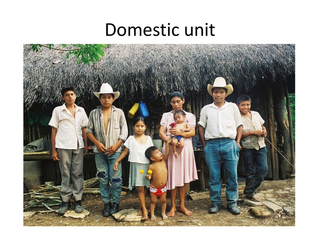 Domestic unit