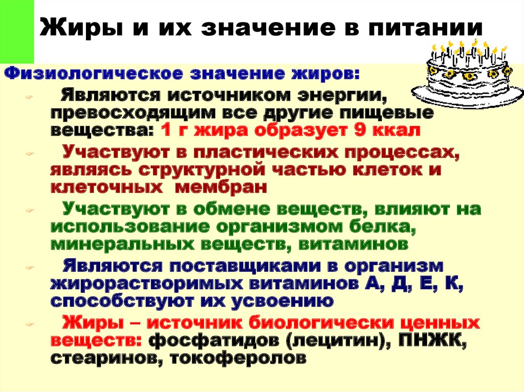 Значение жиров