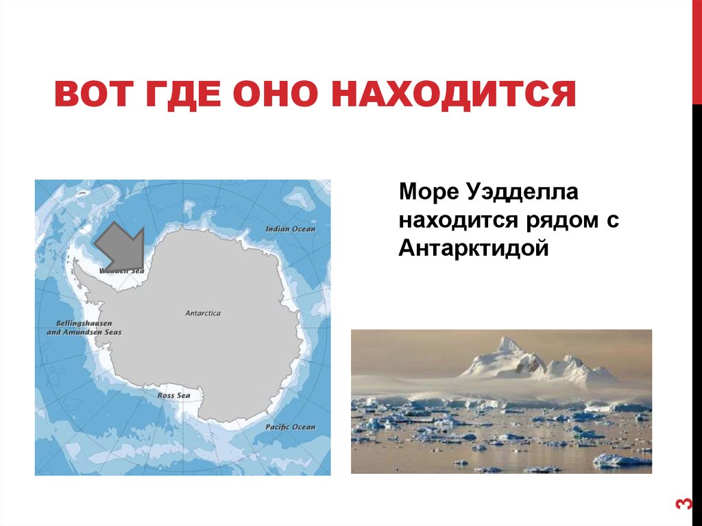 Где находится море. Море Уэдделла на карте Тихого океана. Где находится море Уэдделла. Где находится море Уэдделла на карте. Моретуэ уэдала на карте.