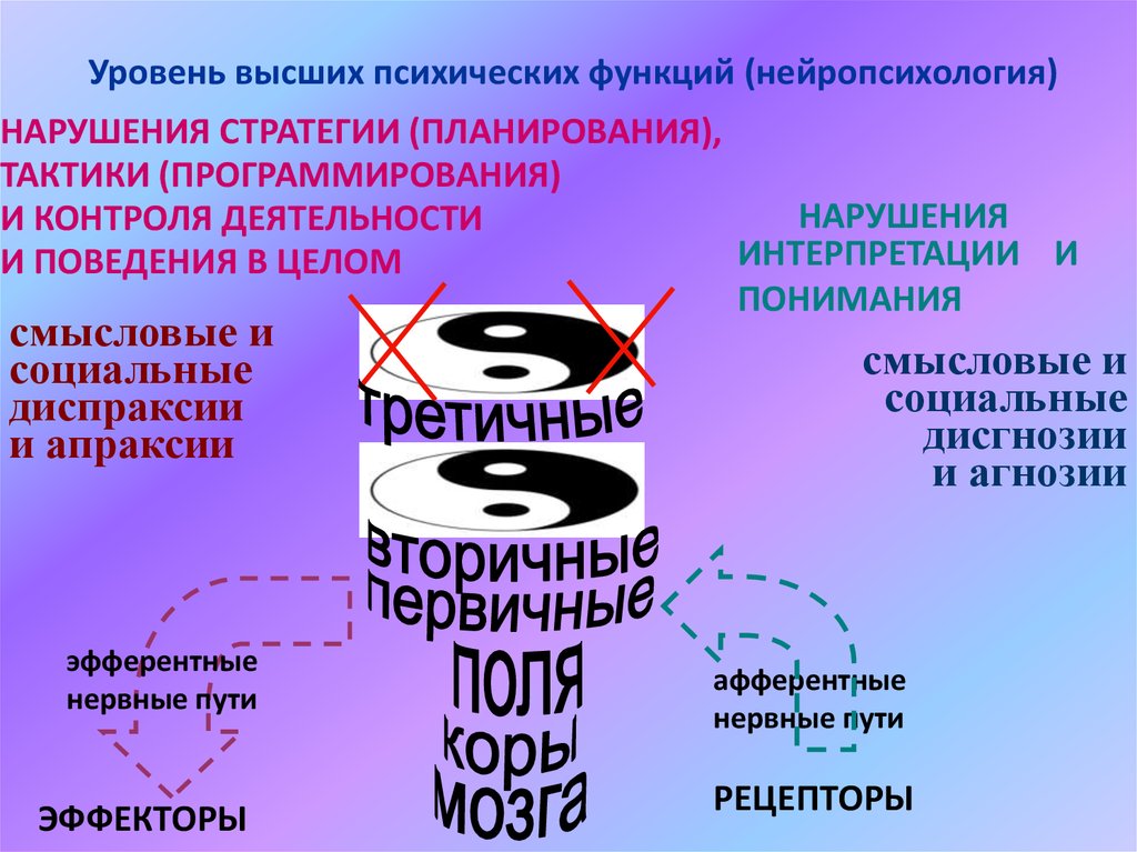 Высшая психика. Модальность высших психических функций схема. ВПФ В нейропсихологии это. Схема высшей психической функции. Высшие психические функции это в нейропсихологии.