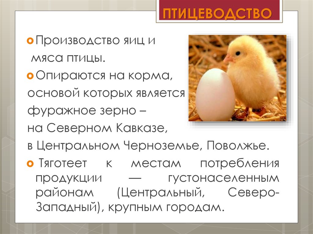 ПТИЦЕВОДСТВО