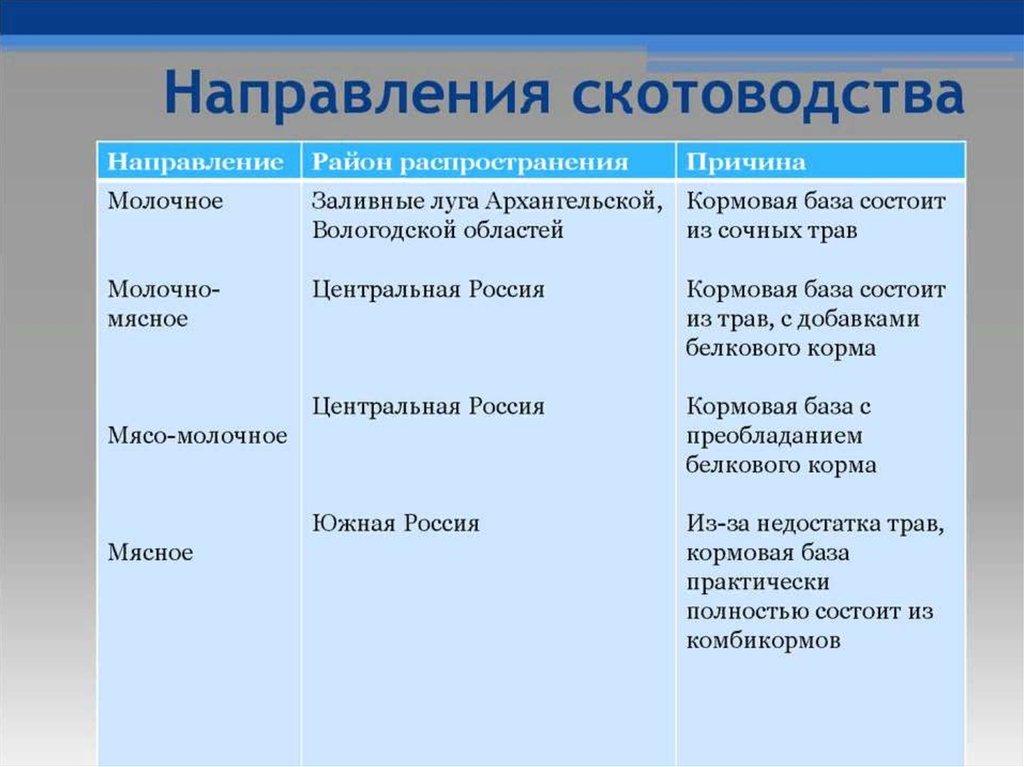 Заполните схему структура животноводства мира животноводство