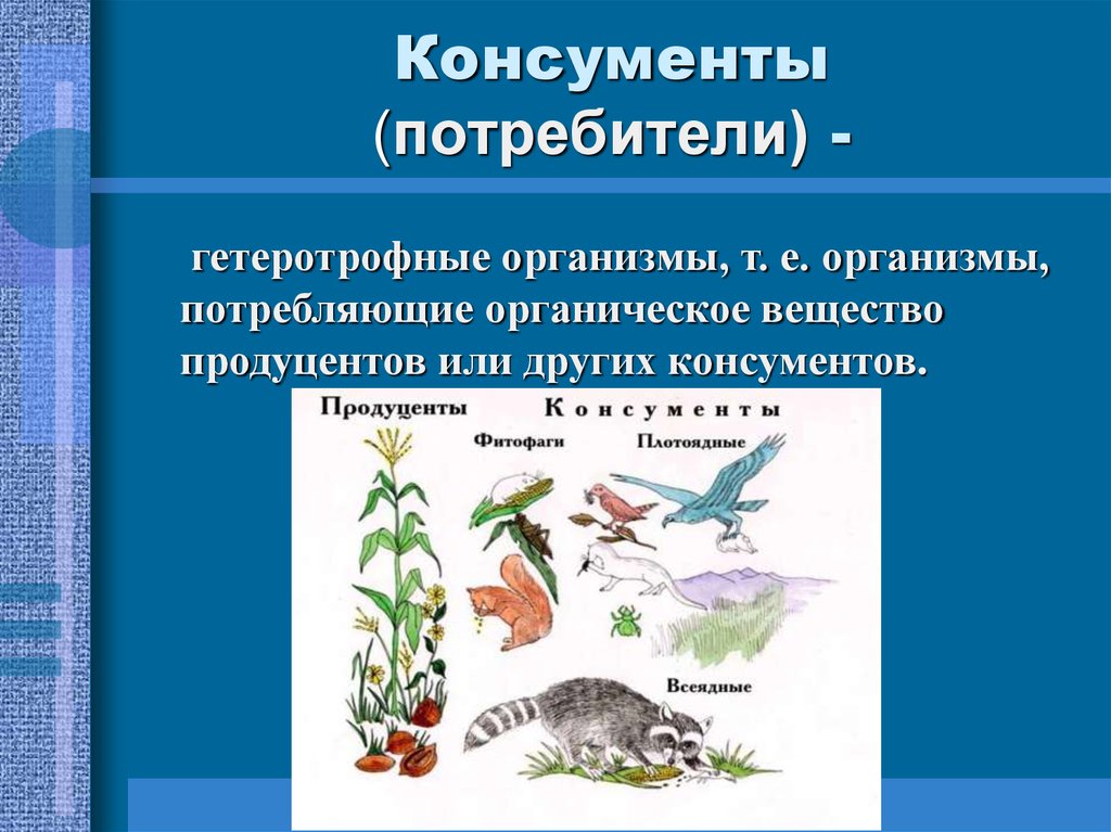 Консументы 2 порядка характерные особенности. Консументы (потребители) 1 порядка. Консументы в экосистеме. Консументы организмы потребляющие. Консументы первого порядка в экологических системах.